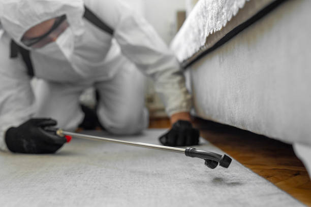 Professional Bed Bug Control technician working in Bridgeville, DE